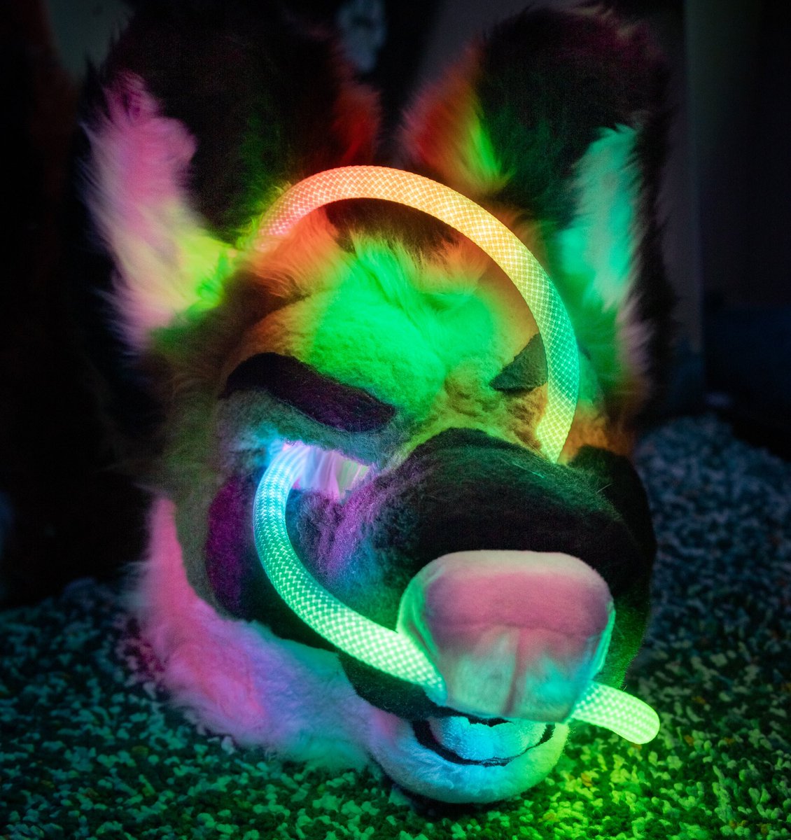 Ravelights's tweet photo. Spooky

@CO2_leggyboi https://t.co/2FK8W6PQUX