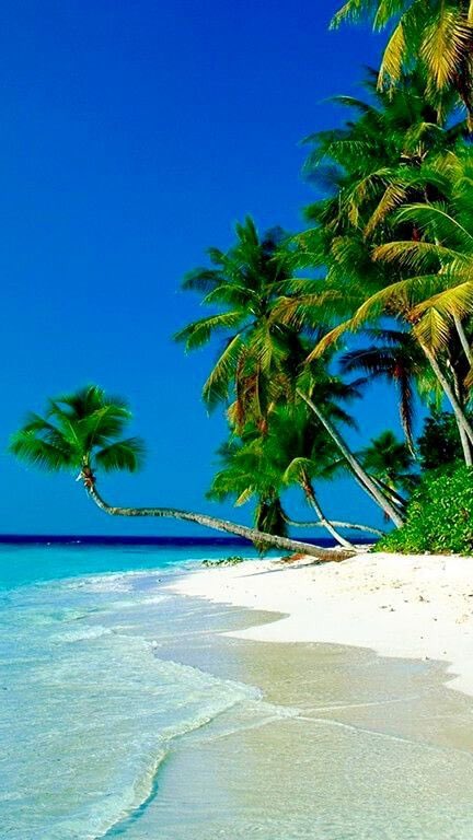 Efrain2__'s tweet photo. Good afternoon my friends Happy Wednesday
God bless you🙏🤲

🐋🐍🪱🐋🐍🪱🐋🐍🪱🐋🐍🐜🐋🐍🪱🐋🐍🪱🐋🐍

#PuertoRico 🌞☕️
@Soy_Donna_💙I love you😘😍🥰
@Efrain2__ ❤️
@LuDonna_ 💙I love you😘😍🥰
@Efrain1_D❤️
@DonnaEfrain 😍
@DE_SILVIA_T 🌷
@Atlanna__ 🌹
@NairaEyen 🤗
@NaiaraEyen👼🏻 https://t.co/Kosq0TMfrd