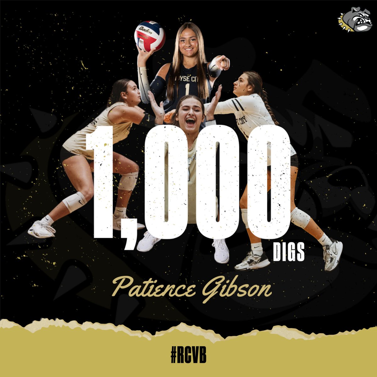 RCVB_bulldogs's tweet photo. Congratulations to Senior, Patience Gibson, for reaching 1,000 career digs in last night's Regional Semi-Final match! We are so proud of you for accomplishing such an incredible milestone! 💛🖤

#WinnerWithin #RCVB https://t.co/69YRw8PoYX