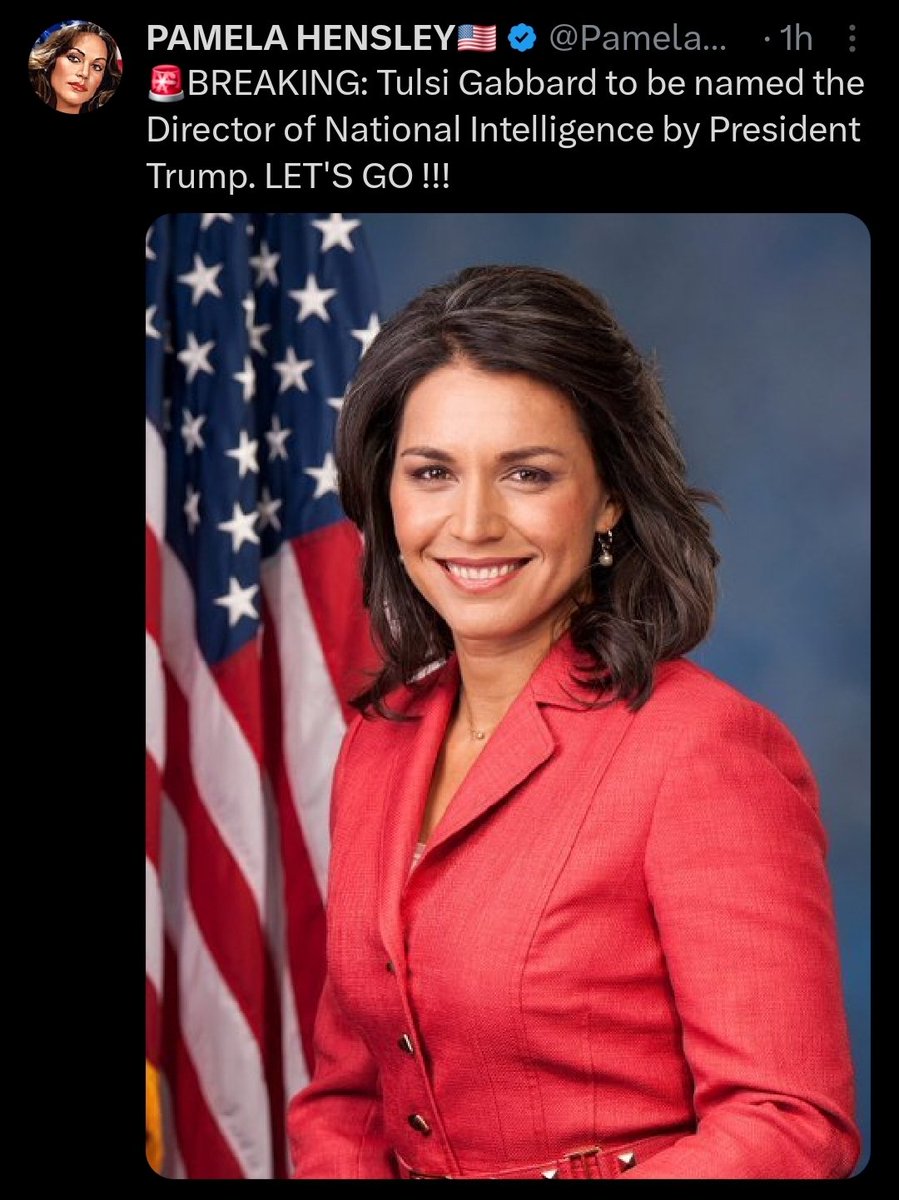 She's a Russian spy you dipshits