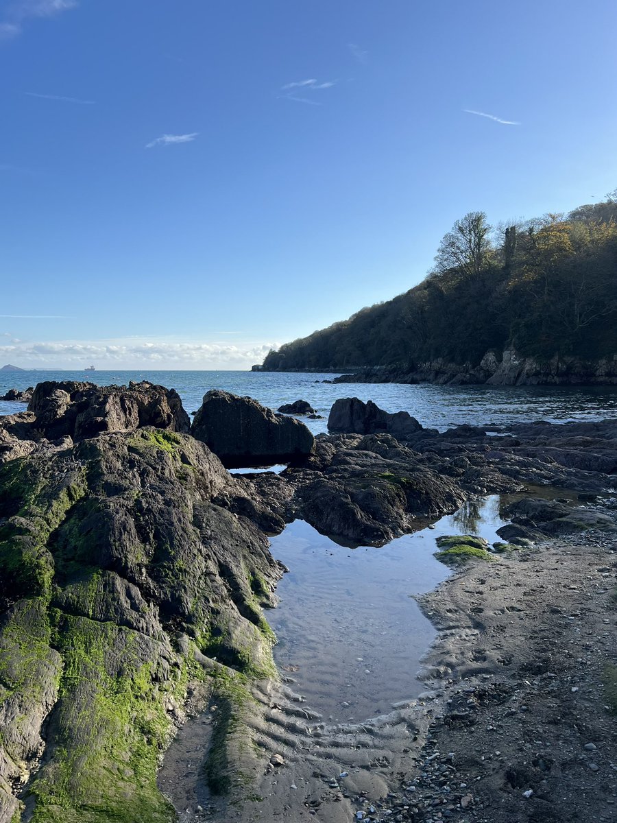 bryce_isobel's tweet photo. Today’s little dose of Vitamin Sea. #Cornwall #AutumnDays #RamePeninsula https://t.co/xn5eWuDsQp