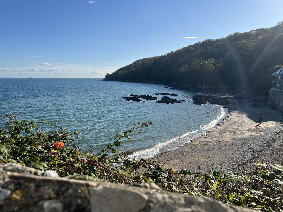 bryce_isobel's tweet photo. Today’s little dose of Vitamin Sea. #Cornwall #AutumnDays #RamePeninsula https://t.co/xn5eWuDsQp