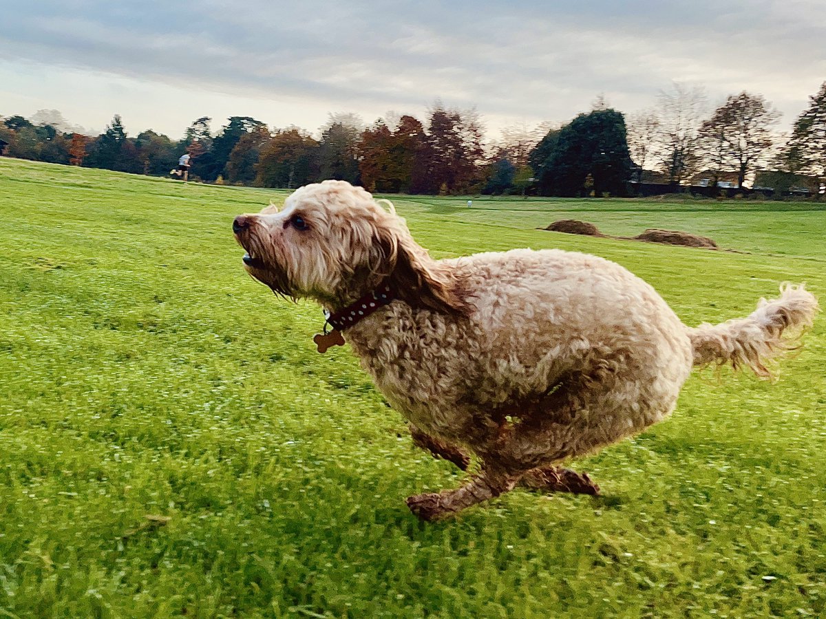 Niall Fennessy tweet media