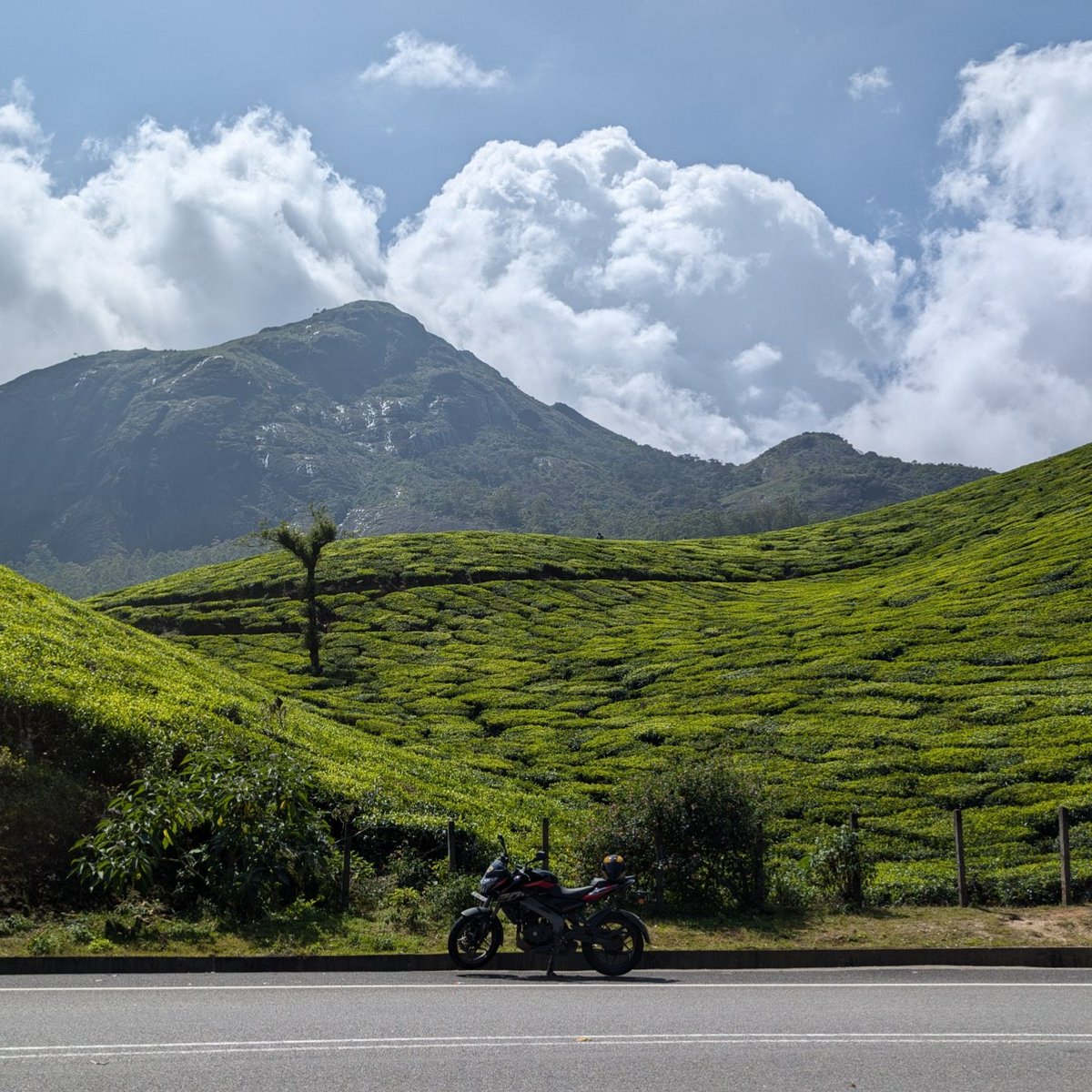 shamsu_musthafa's tweet photo. Kerala is beautiful 🌿 

Hiking through the tea gardens at Munnar. https://t.co/xBkl4ab5Vc