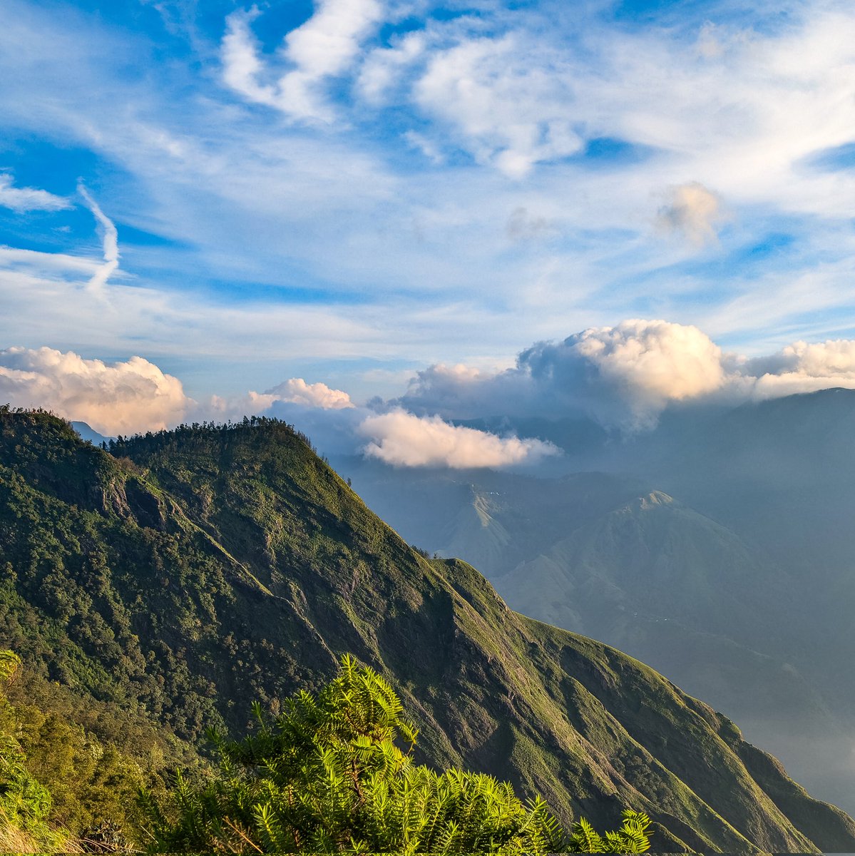 shamsu_musthafa's tweet photo. Kerala is beautiful 🌿 

Hiking through the tea gardens at Munnar. https://t.co/xBkl4ab5Vc