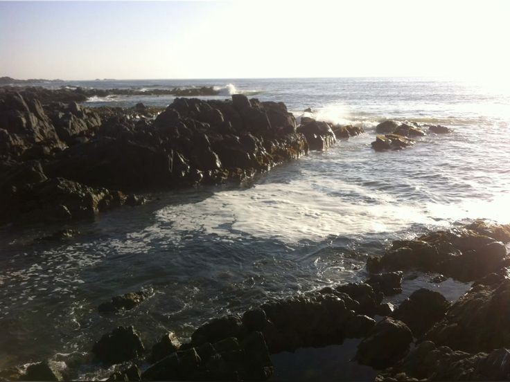 elemmiressoul's tweet photo. inshore. https://t.co/HXfA0c1tMC