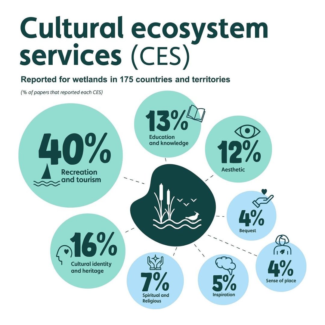 CEF - Centro de Estudos Florestais tweet media