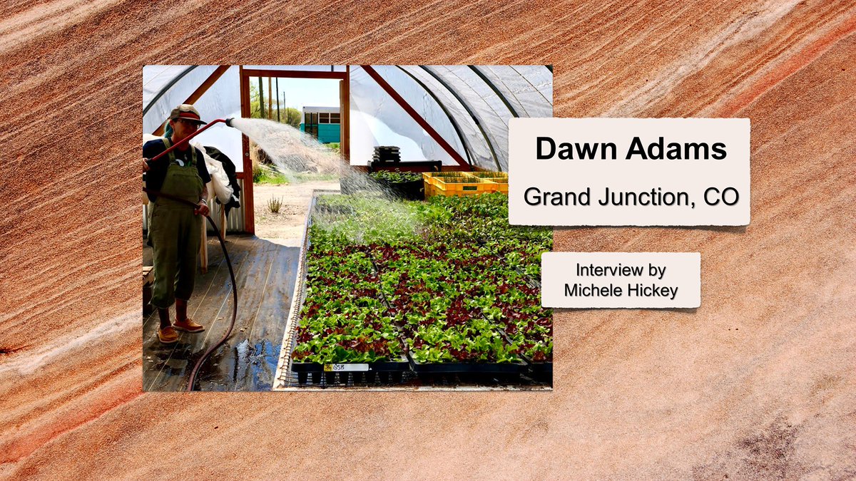 We Are Water SW tweet media