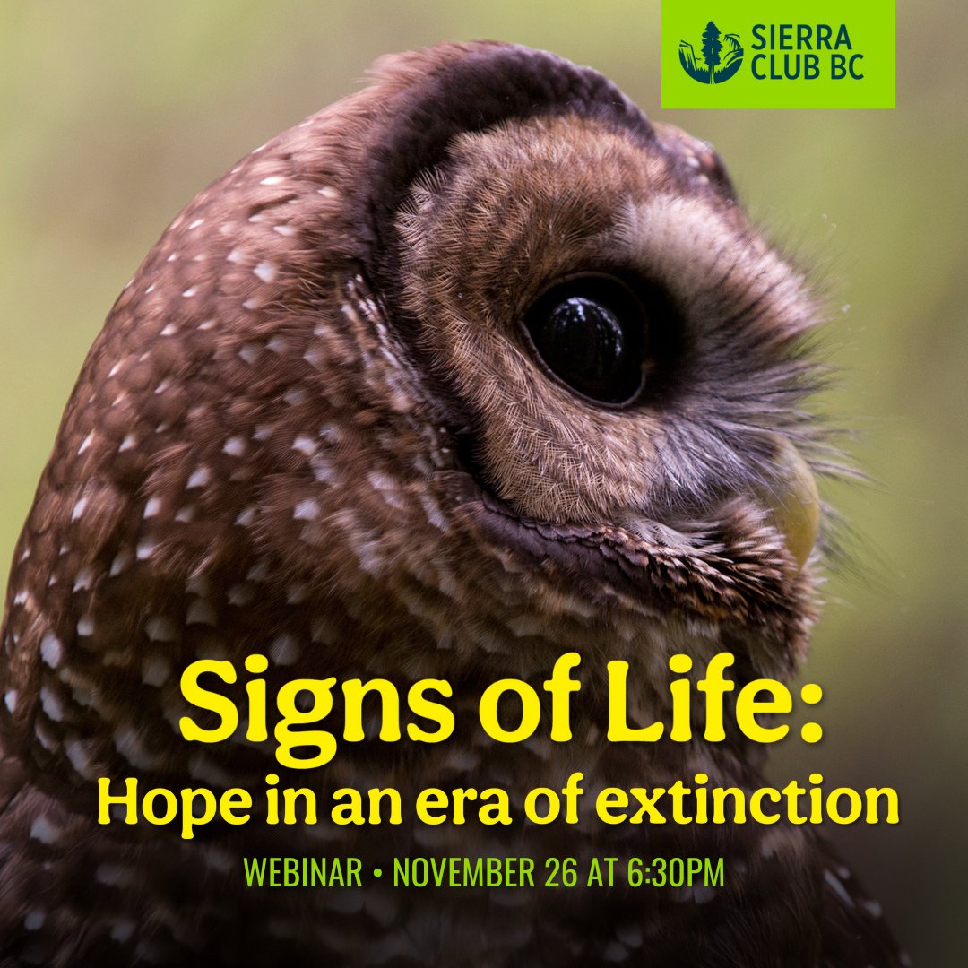 Join us for a panel about the future of biodiversity in BC with <a href="/sarahcox_bc/">Sarah Cox</a> environmental journalist &amp; author of ‘Signs of Life’, Spô’zêm First Nation Chief James Hobart, and SCBC Senior Policy &amp; Science Advisor <a href="/JensWieting/">Jens Wieting</a>

📅 Tues, Nov 26 6:30PM

RSVP: sierraclub.bc.ca/signs-of-life-…