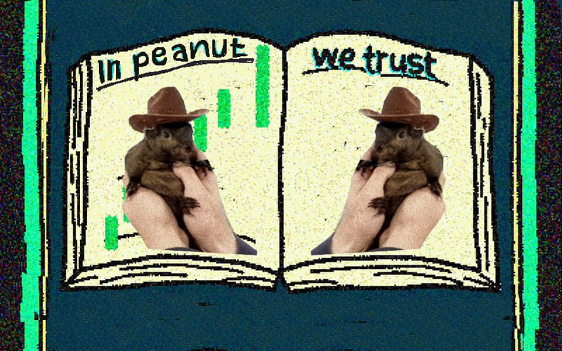 bookofpeanut's tweet photo. Turn the Page to $BOP

 The Next Chapter in Crypto! https://t.co/YCrs9EthZf