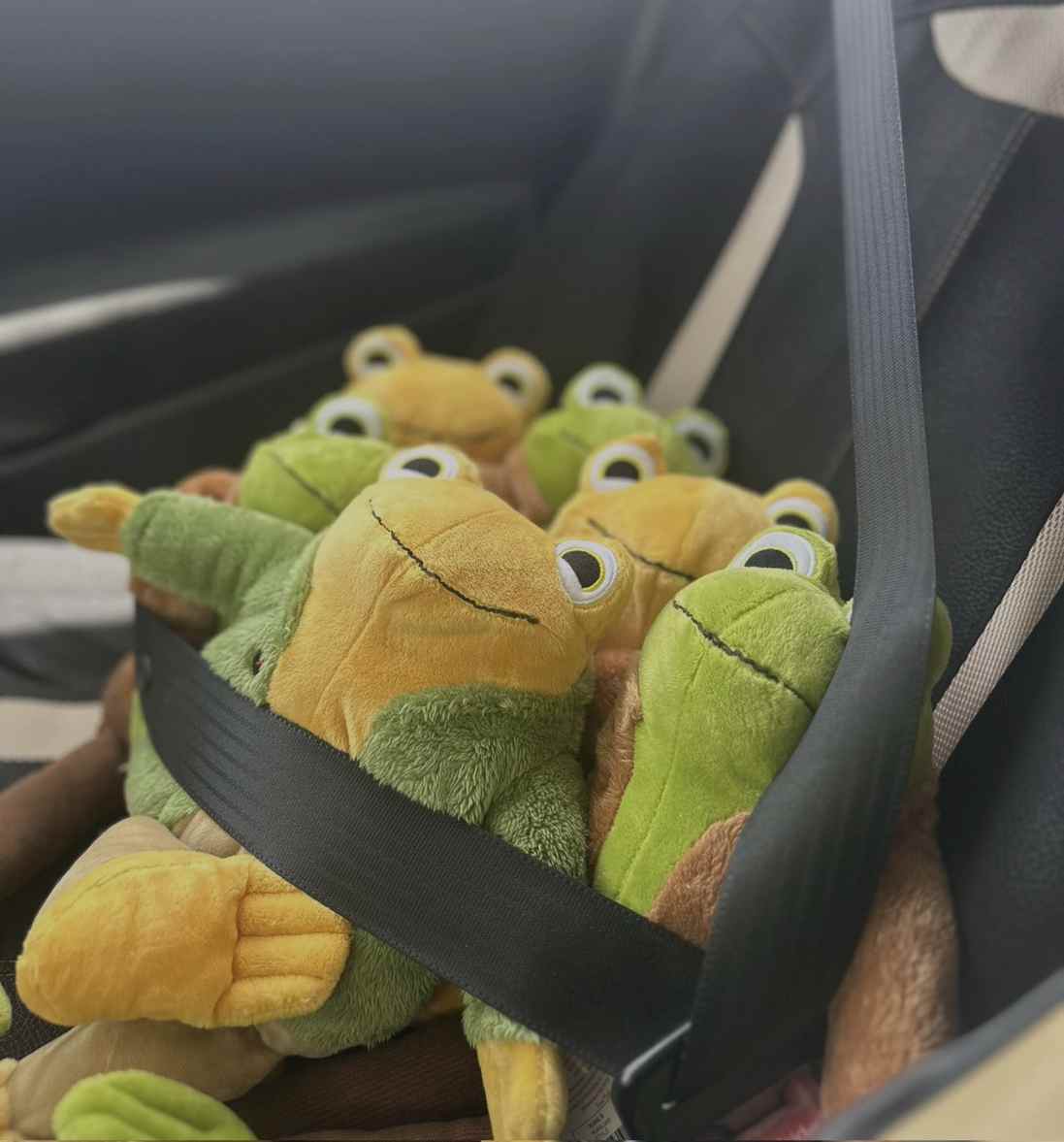 CPrincess294's tweet image. ¡Aquí viene lenatheangel, causando furor!