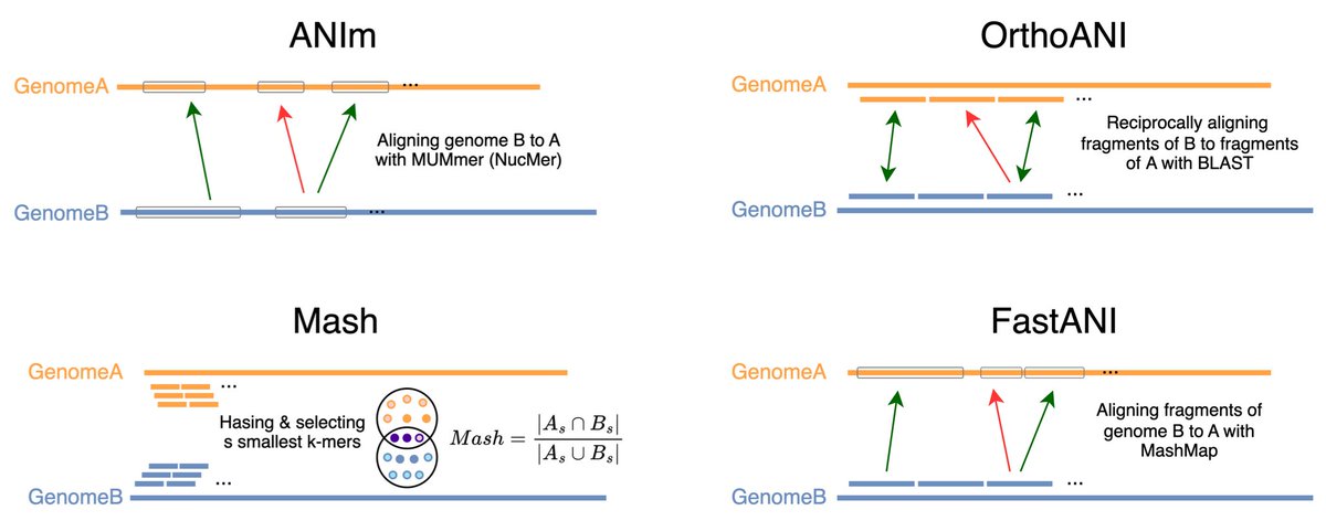 Heading to Cold Spring Harbor to present a poster on benchmarking average nucleotide identity! "ANI, are you OK? Challenges for k-mer-based estimation of evolutionary distances" at Biological Data Science #cshldata24 !