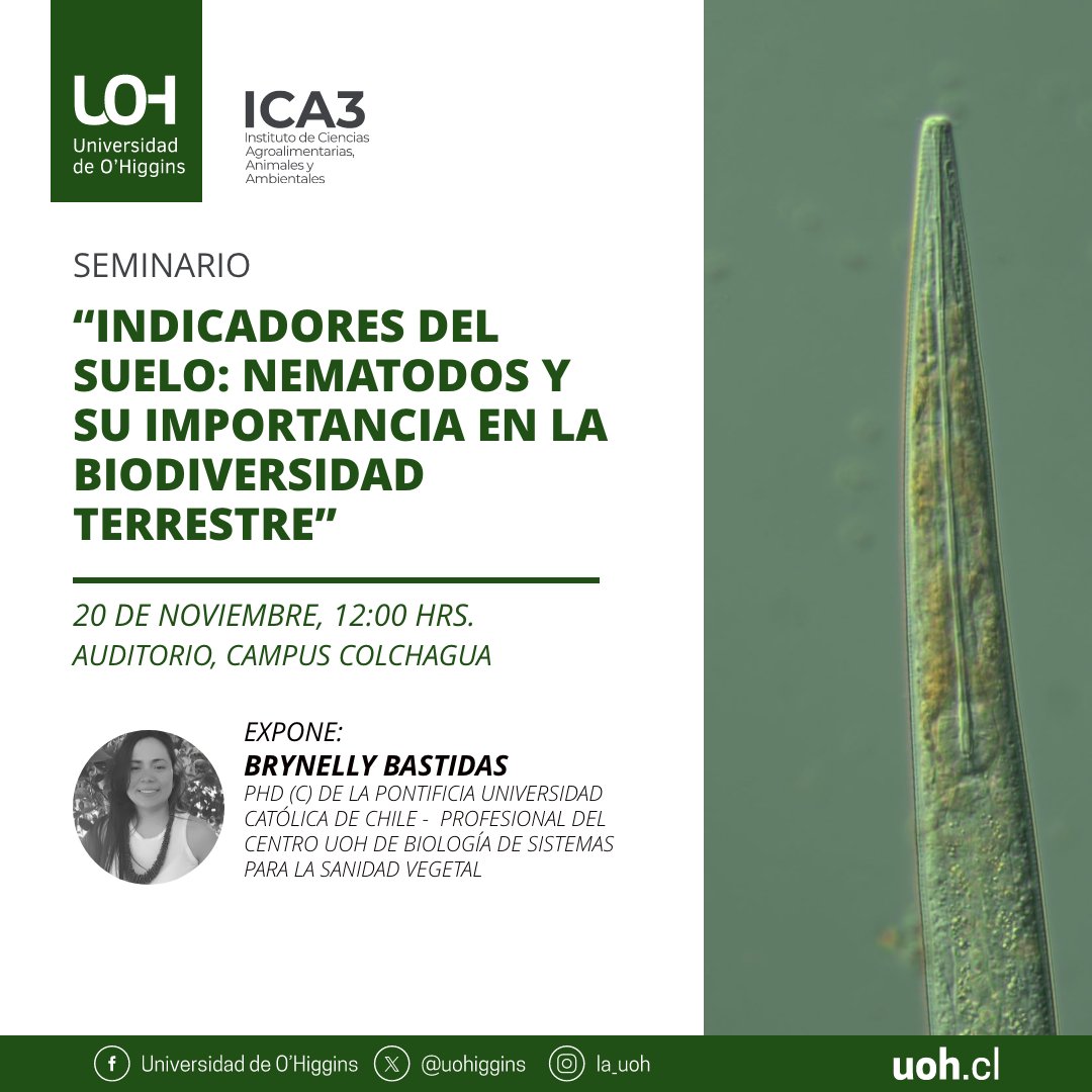 Universidad de O'Higgins tweet media