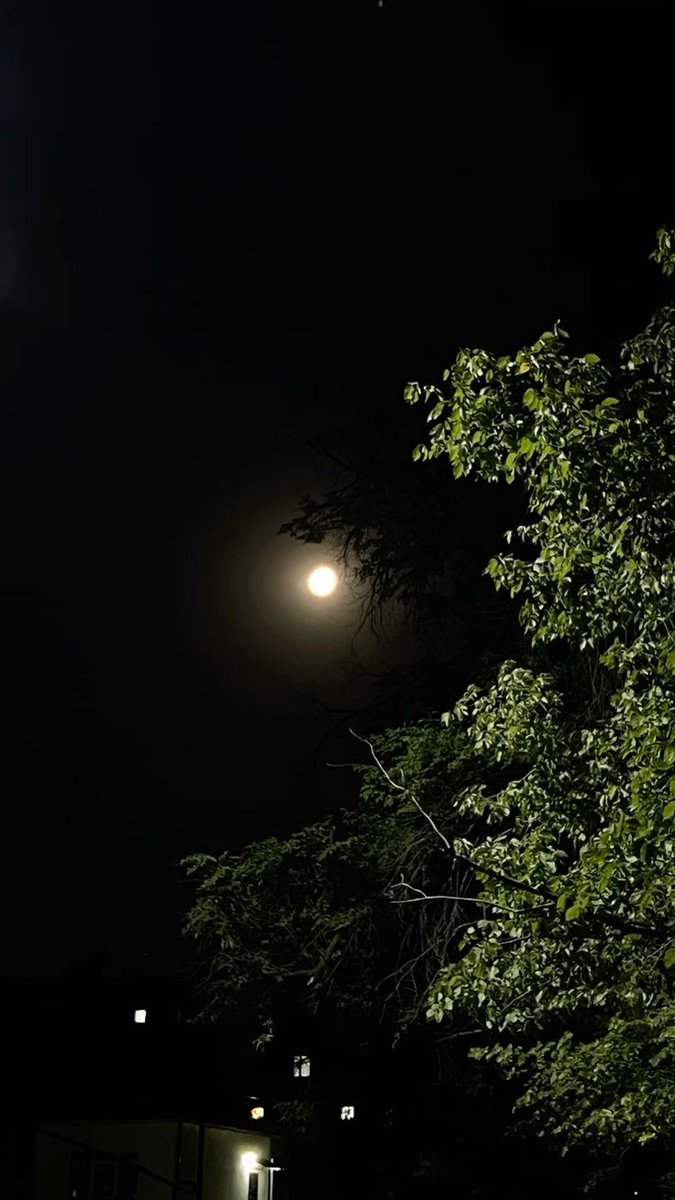 Good Night

Wishing you a restful night filled with beautiful dreams.
