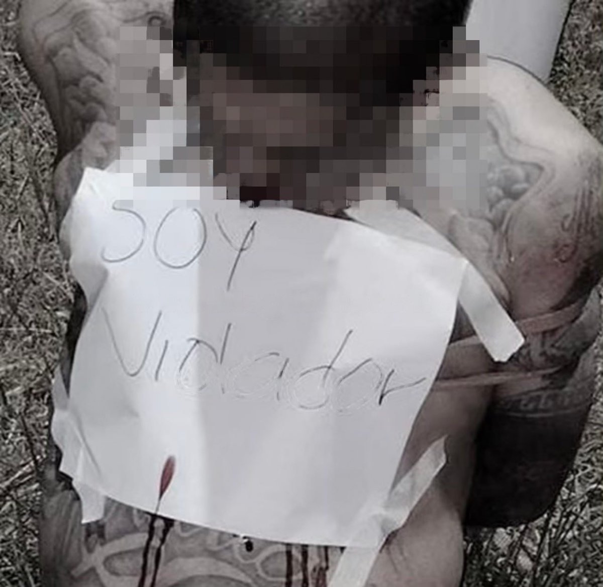 Panda del Amor. tweet media