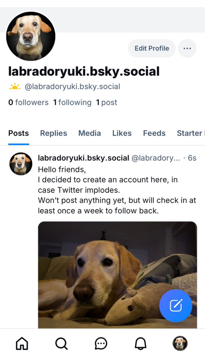Yuki, 🦴afide tweet media