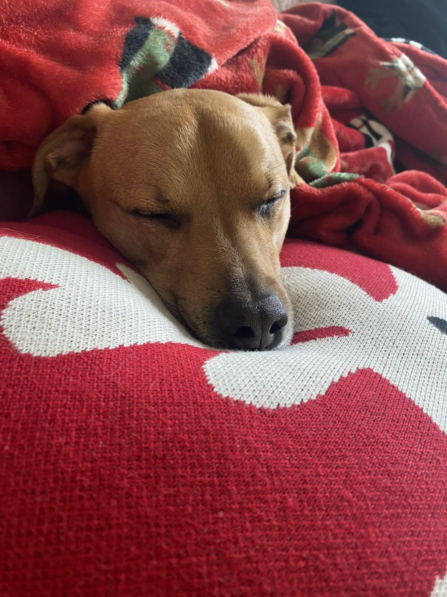 When it’s getting cold outside and you’re just a sweet little baby.