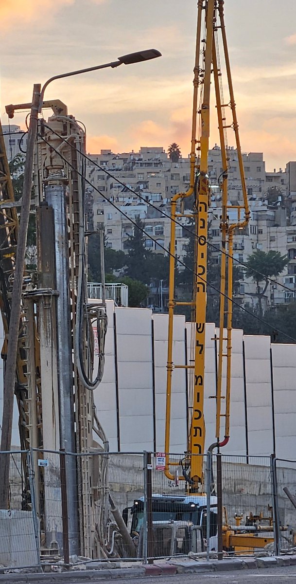 סרט הנסיכות של דיסני שאני הכי רוצה לראות