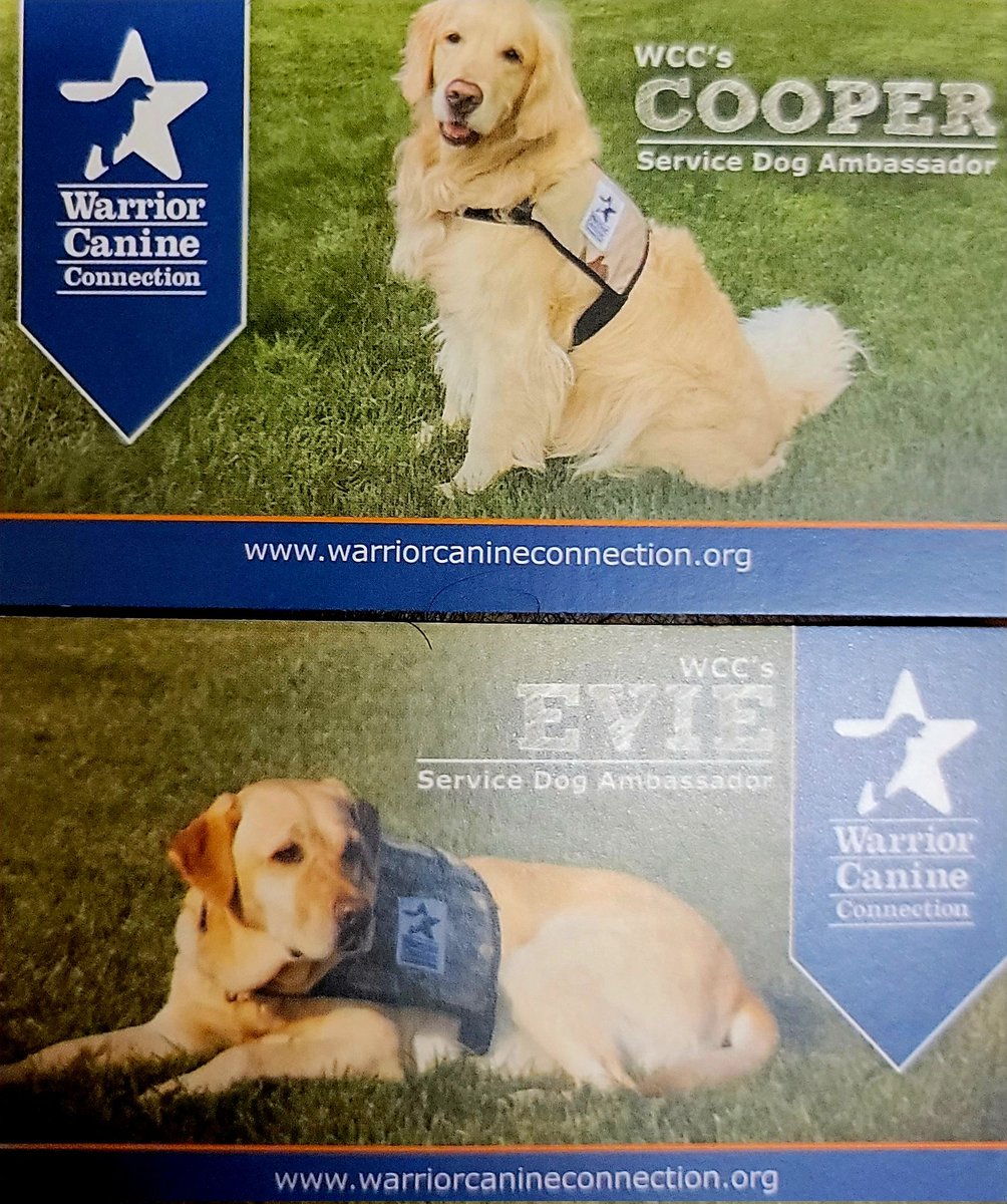 I had a wonderful therapy session today, where I met two lovely friends, Cooper and Evie.