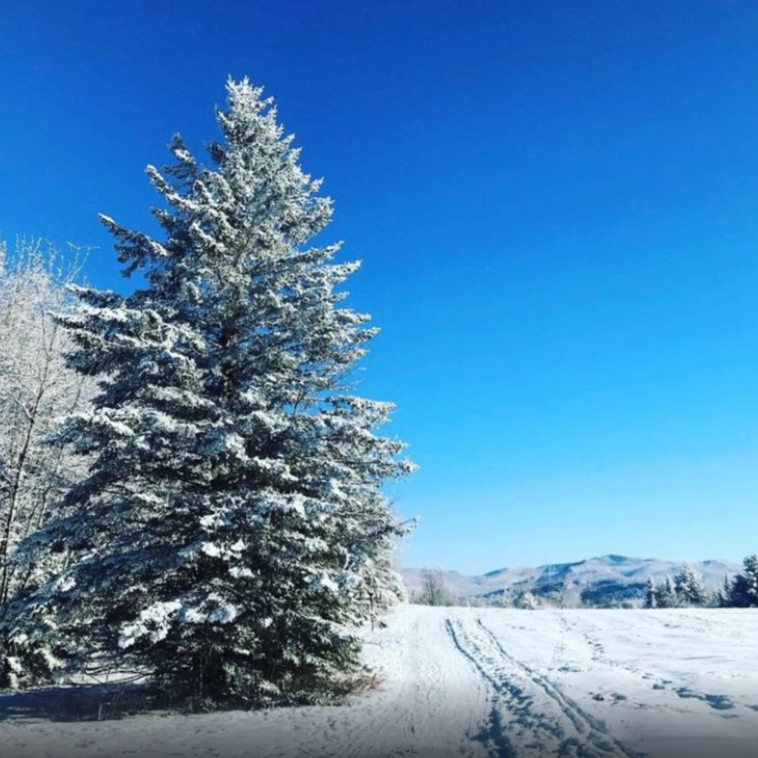 GoCottage's tweet image. Happy Wednesday! #gocottage