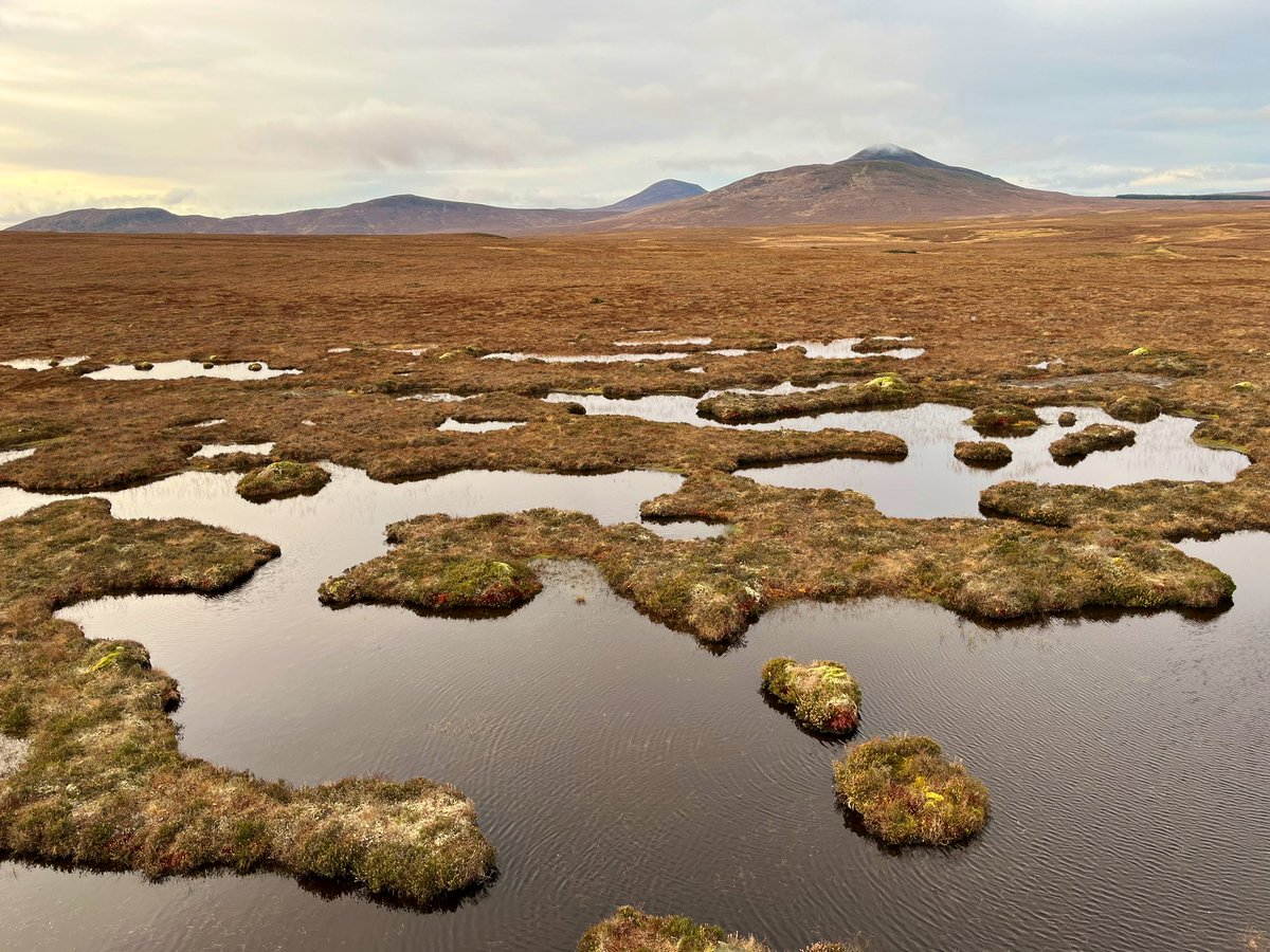 Mike MacEacheran ✍️ tweet media