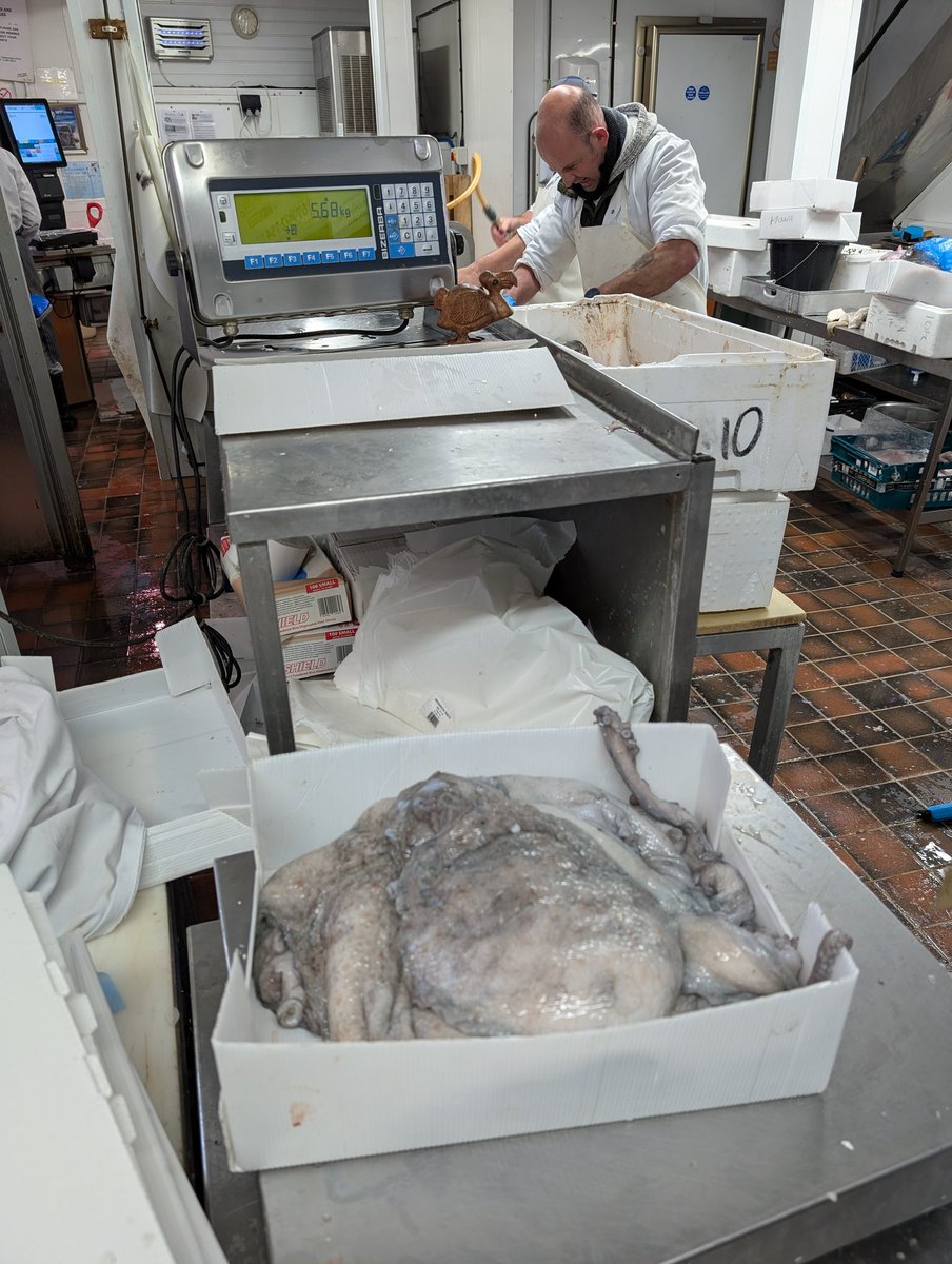 Joni Karanka tweet media