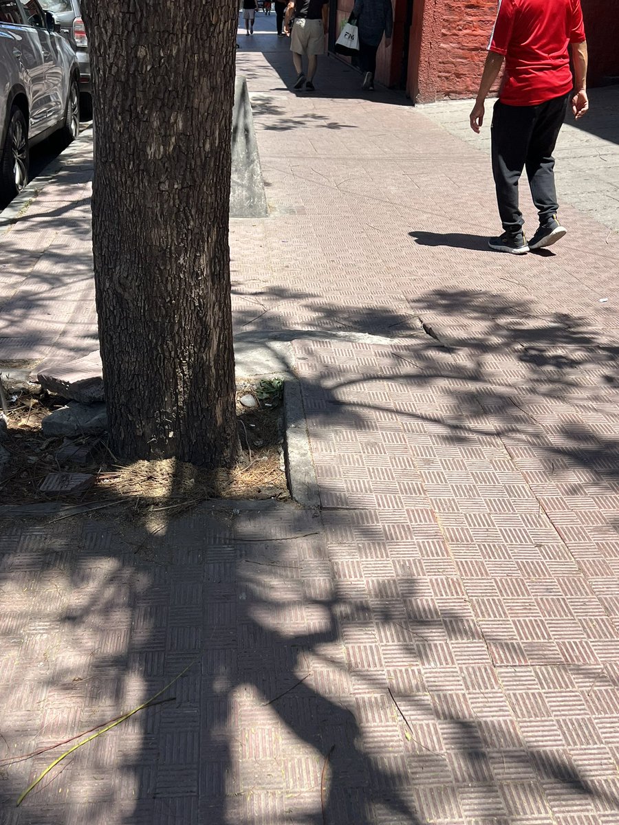 🔎¿Cuando entra a <a href="/MuniTalagante/">Muni Talagante</a> <a href="/sebarosas/">sebastian rosas</a> ? Hay mucha pega <a href="/CarlosAlvarezE_/">Carlos Álvarez</a> … No dejemos para mañana lo que podemos hacer hoy. Basta con caminar y reconocer que falta proactividad para mejorar nuestros entornos. Fotos de hoy <a href="/DonTalagante/">JAIME LAGOS Don Talagante</a> 📸 <a href="/talamipueblo/">Talagante Mi Pueblo</a> 

#SiempreContigo