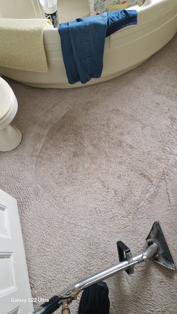 dmcarpetclean's tweet image. A cleaner carpet means a healthier home! Cardiff, trust us with your fresh start. 🌞✨ #DMCarpetCare #CleanAndGreen #CardiffLife