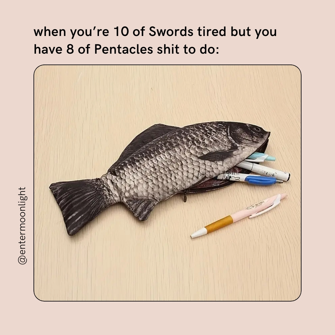 Moonlight tweet media