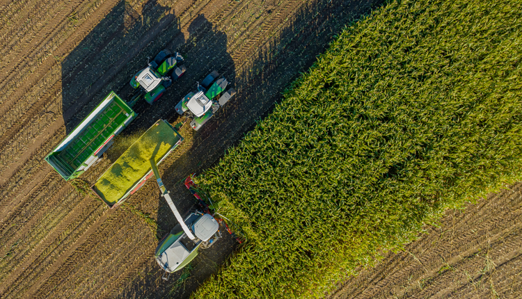 Soil fertility, agronomic practices, and harvest management — including kernel processing — are major control points under our influence. bit.ly/HFG-241101-3