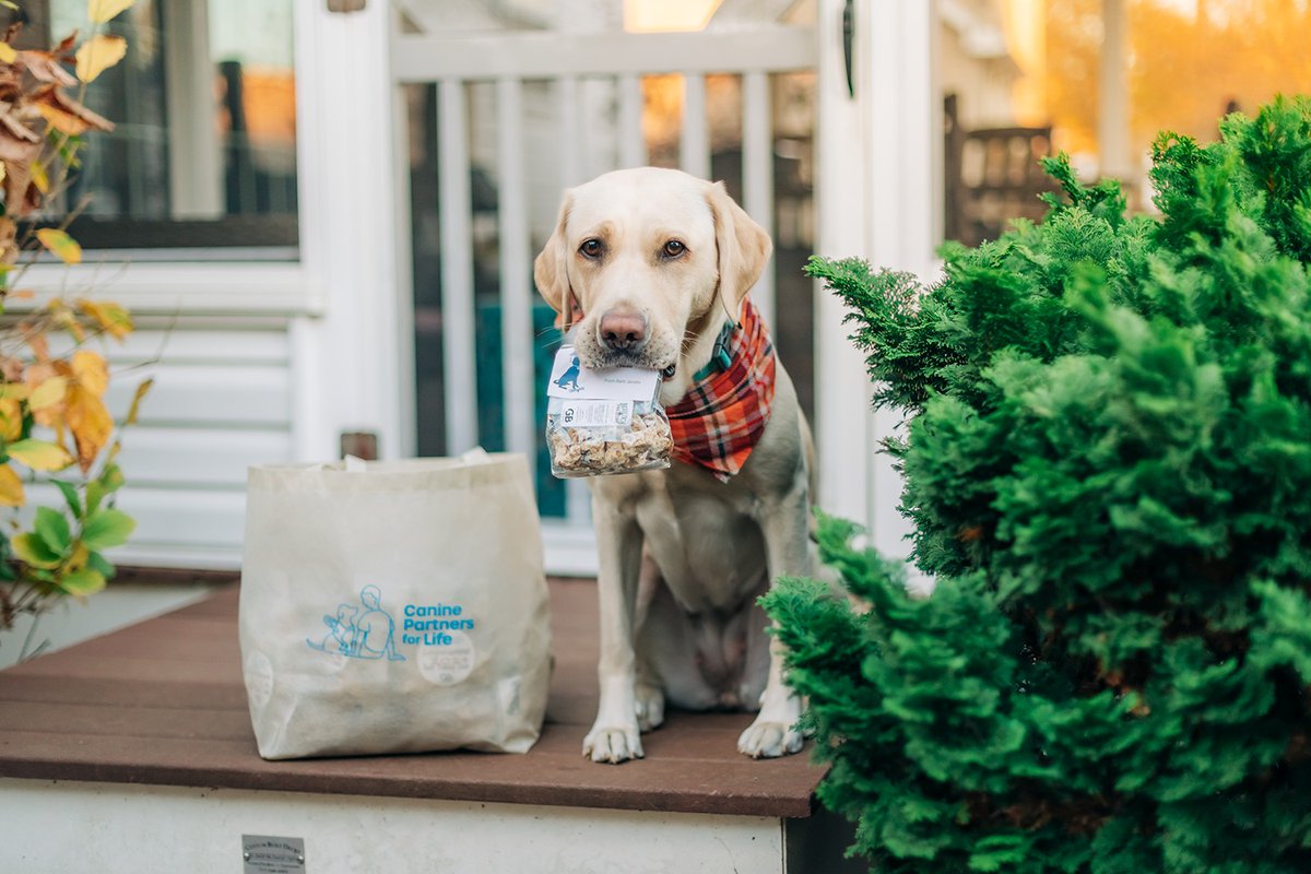 CaninePartners4life (@caninepartners) on Twitter photo A big thank you the @SEIInvestments for assembling Giggygrams for our Fall 2024 Graduates. The SEI team worked diligently to assemble over 450 Giggygrams. Great work everyone!
Pictured is Chewie, by Jim Coarse, <a href="/MoonloopPhoto/">Moonloop Photography</a> A big thank you the @SEIInvestments for assembling Giggygrams for our Fall 2024 Graduates. The SEI team worked diligently to assemble over 450 Giggygrams. Great work everyone!
Pictured is Chewie, by Jim Coarse, <a href="/MoonloopPhoto/">Moonloop Photography</a>