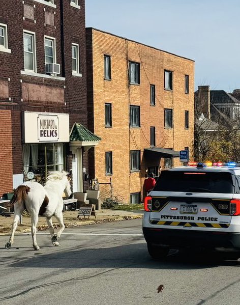 No Context Pittsburgh tweet media