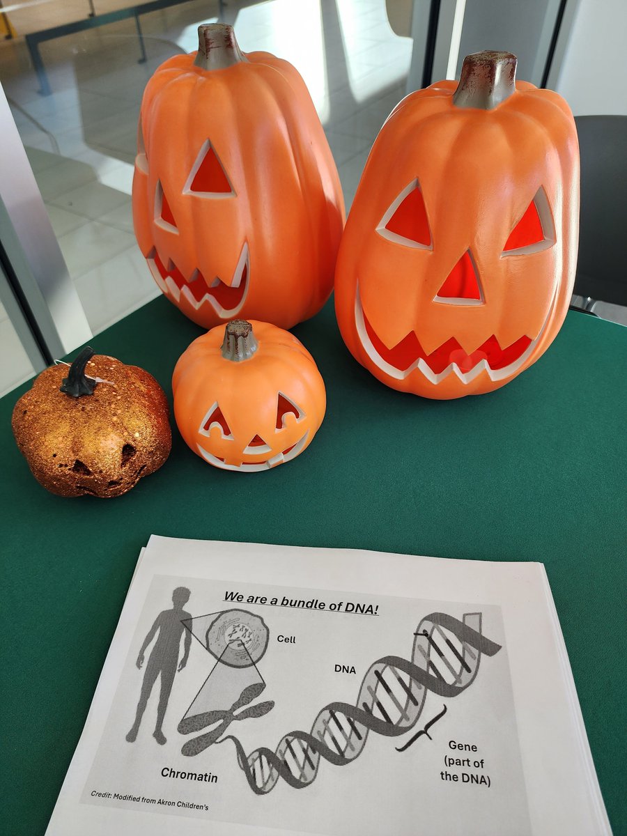 For 'Kids' Science Day,' <a href="/tommyvo_fission/">Tommy Vo</a> and @SHoribata teamed up to share the secrets of chromatin biology at the Carol J. Greer Community Learning Center!

Participants used microscopes and extracted DNA from strawberries to learn the key ideas behind chromatin research 🍓🧬
