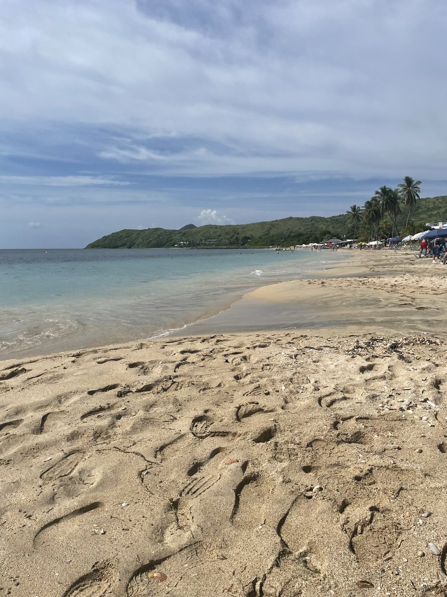 Lisa_keswick tweet media