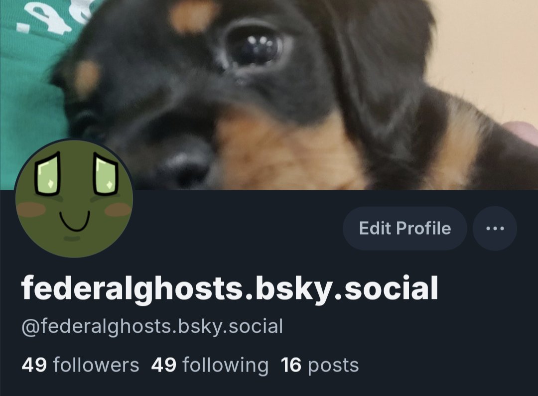 FederalGhosts tweet media