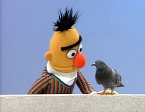 Babette Hoogakker tweet media