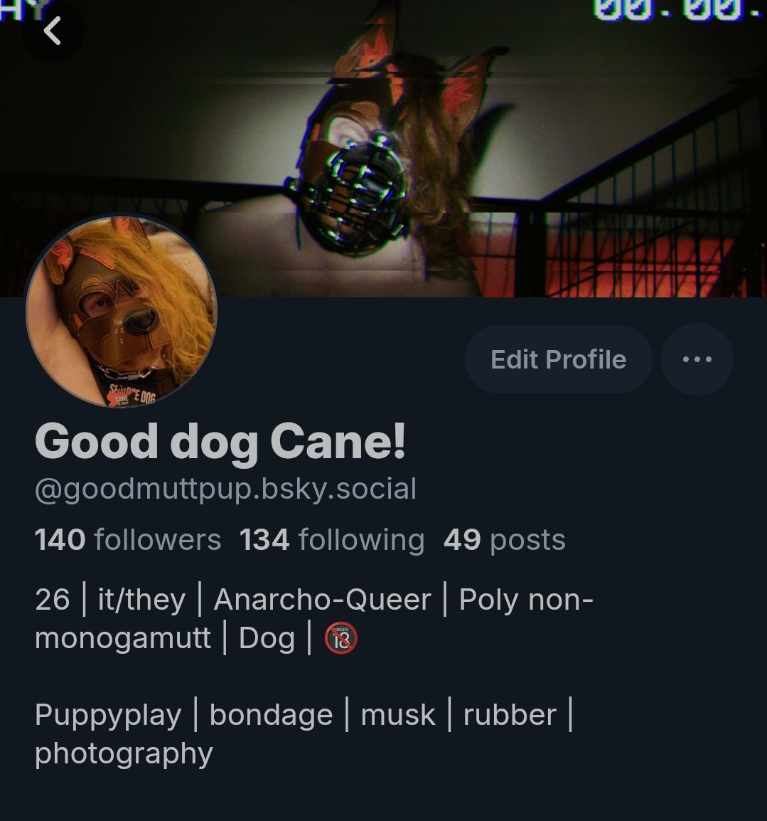 @goodmuttpup.bsky.social tweet media