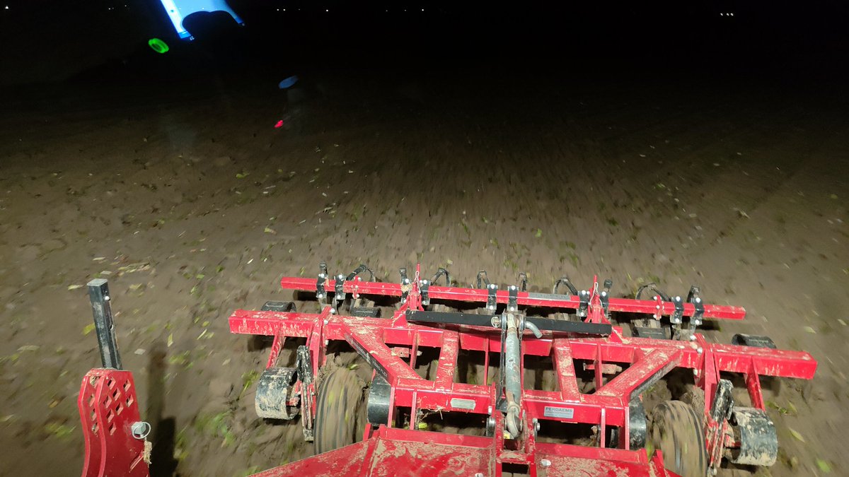 William brooymans tweet media