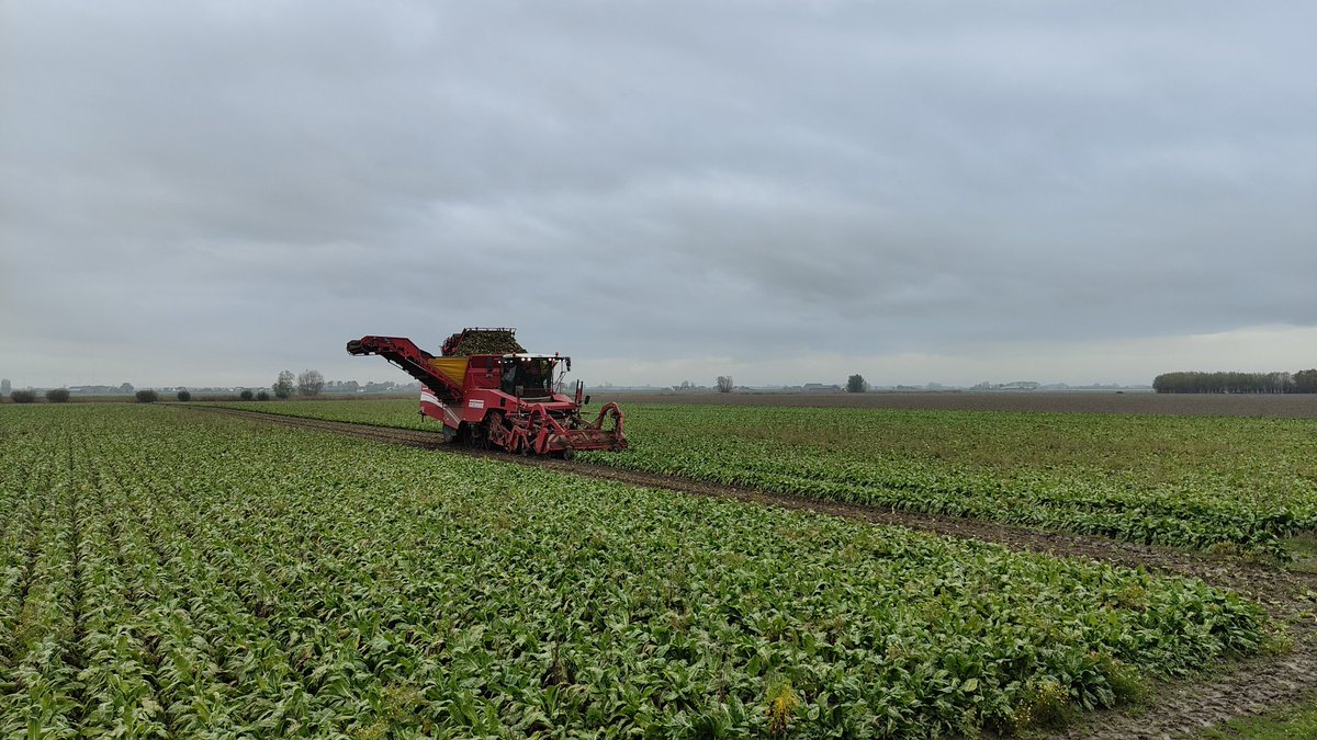 William brooymans tweet media