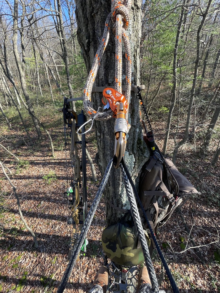 cj_dubya's tweet photo. Whitetail rut = all day sits.  Powered by nicotine pouches and Uncrustables. https://t.co/VzmL5IO3cX