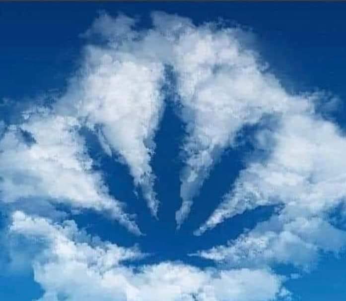 Twitter is like meth while  Bluesky is like good weed.