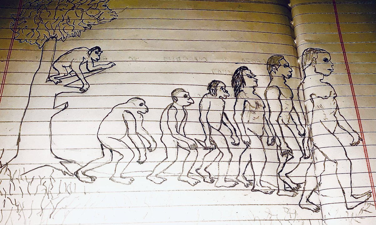 .
tf they be teaching us