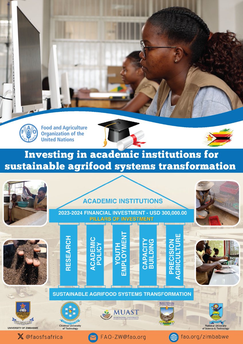 faosfsafrica's tweet photo. 📑#FAOSFS_MDT18 POSTER on #Investment 
🥏Competition

🇿🇼 Zimbabwe _ Investing in academic institutions 

$300K for research, academic policy, youth employment, capacity building, precision agriculture 

@gdscuz @MaronderaVarsit @ChinoyiUniversity @buseonline1

 @FAOZimbabwe https://t.co/G3usQPqz9Z