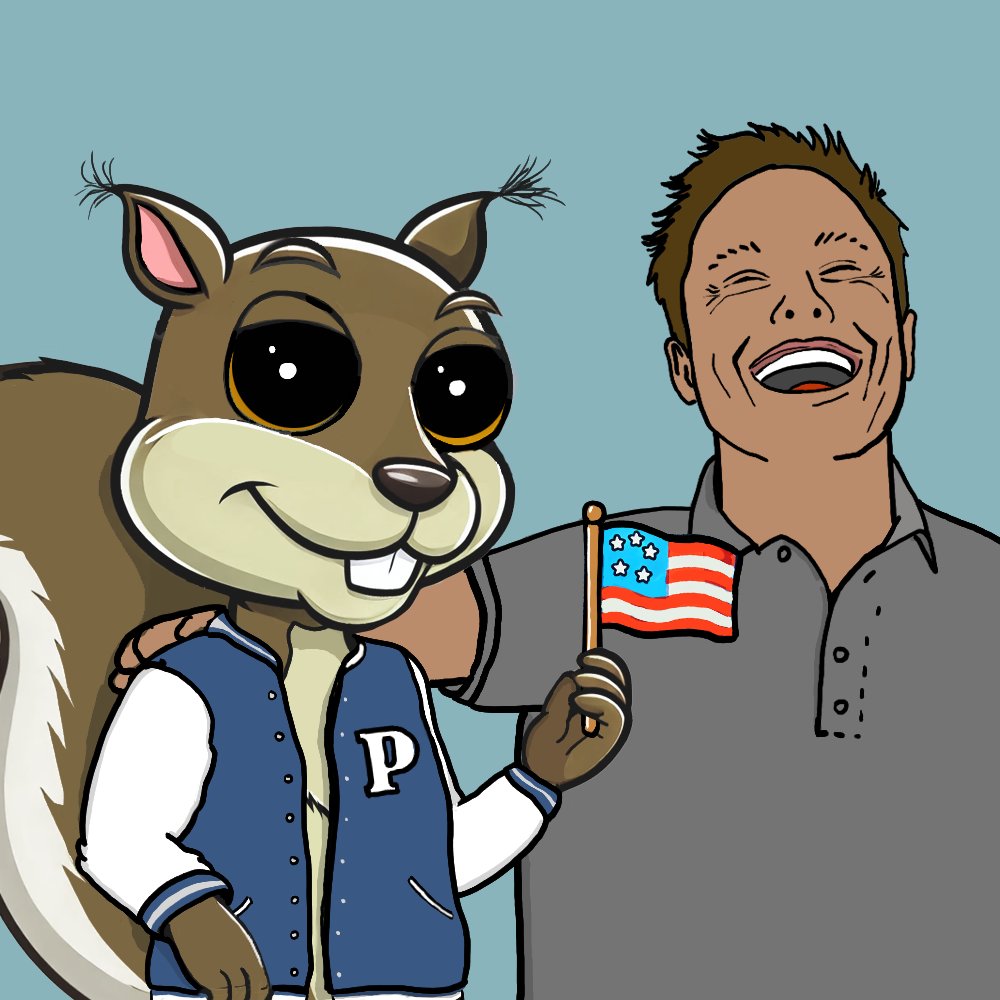 What's next?

Check deployer wallet for more 1/1s. 

#PNUTS