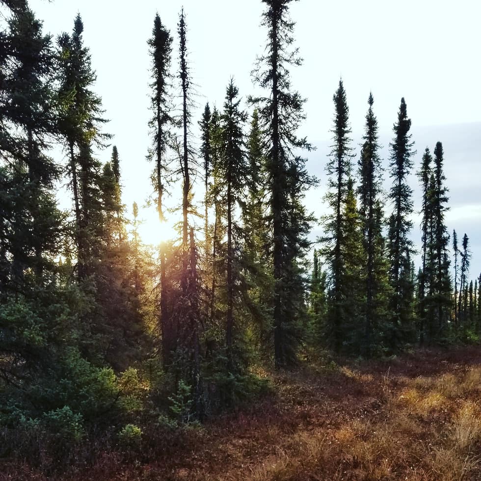 CBESTnova tweet media