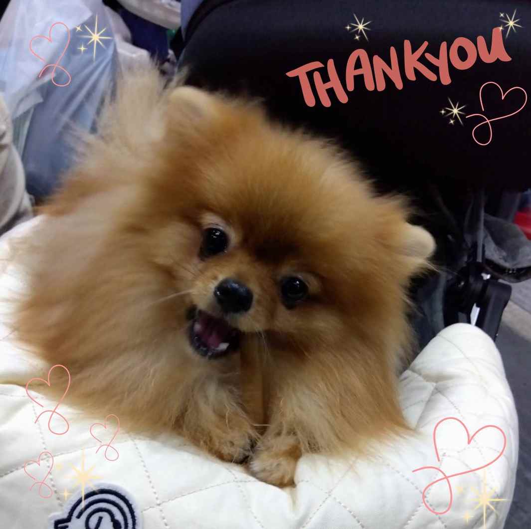 glitter045's tweet image. Diga olá para o único Blake!