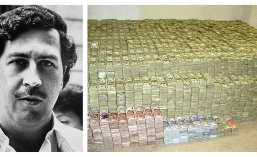 "تخيّل رجلاً ينفق 2500 دولار أسبوعيًا فقط على الأربطة المطاطية لتجميع أمواله، وفي نفس الوقت يحرق مليون دولار لتدفئة ابنته في ليلة باردة!
هذا ليس خيالًا، بل حياة بابلو إسكوبار، إمبراطور الكوكايين الذي مزج بين الثراء الجنوني والجنون الحقيقي.

لكن، كيف انهارت إمبراطوريته؟ وما