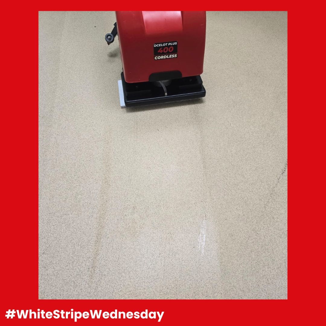 VictorMachines's tweet photo. The Ocelot 400 Plus is the MVP of our deep-cleaning range! There's nothing quite like it when it comes to tackling tough cleaning.  

Our demo team recently visited an NHS hospital, and the cleaning team were truly impressed by the performance.  

#WhiteStripeWednesday https://t.co/QHSmqK9i22