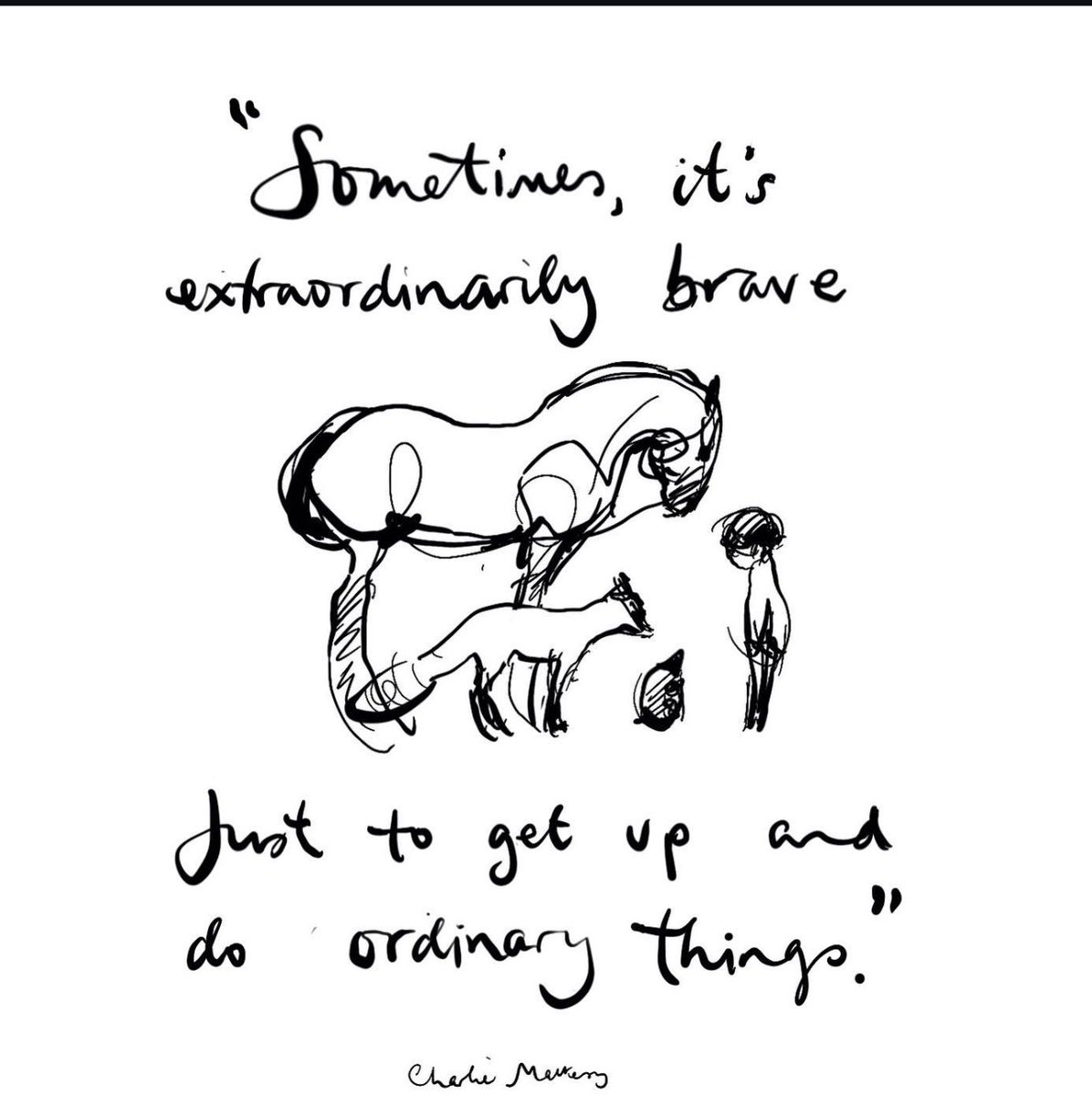 Mrs Carter 🐸 tweet media