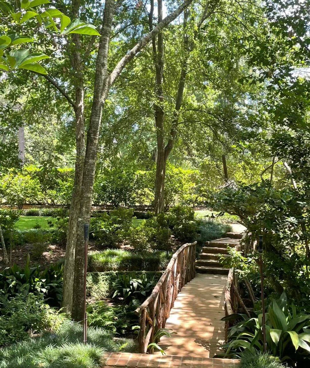 Lilycup's tweet photo. Perhaps only the tranquility of nature can distance you from the hustle and bustle of the city https://t.co/E23uHXsEJM